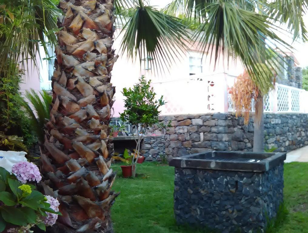 Casa Do Poco Funchal Apartment Ngoại thất bức ảnh